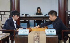 第十六期野狐人气争霸赛四强战直播预告：杨楷文vs王星昊
